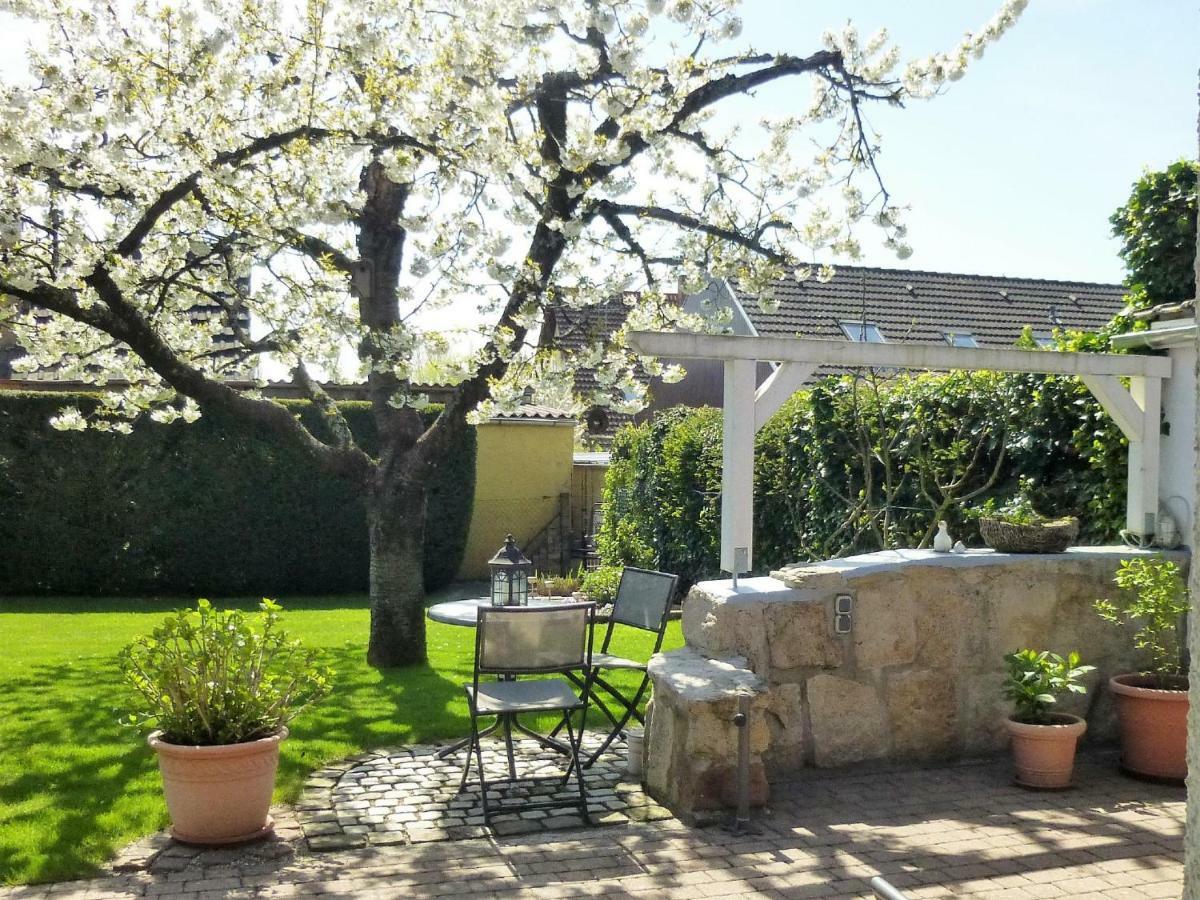 Ferienwohnung Kirschbluete Billigheim-Ingenheim Εξωτερικό φωτογραφία