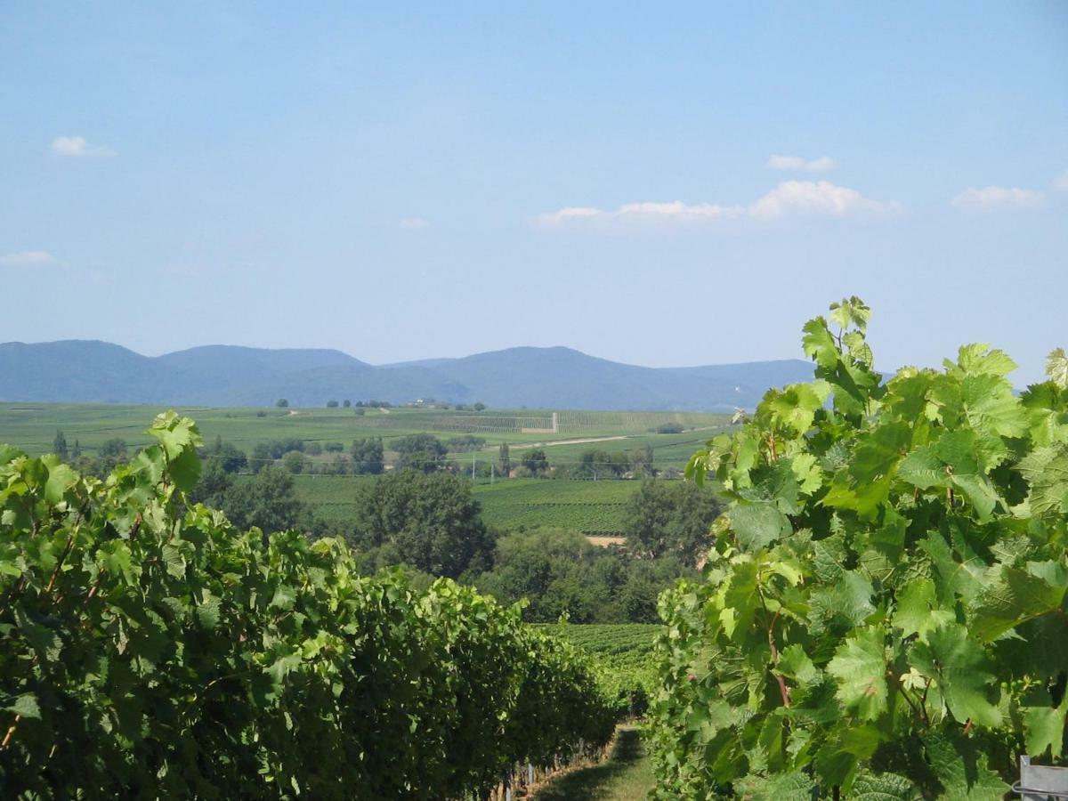 Ferienwohnung Kirschbluete Billigheim-Ingenheim Εξωτερικό φωτογραφία